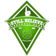 斯蒂贝尔  logo
