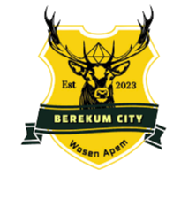 贝雷库姆市 logo