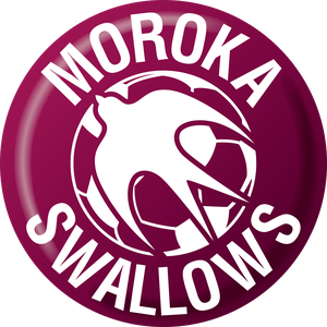 摩洛卡燕子 logo