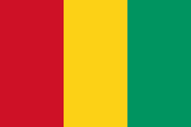 几内亚U17