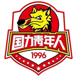 陕西西北青年人  logo