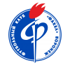 法克尔青年队 logo