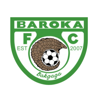 巴洛卡 logo