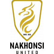纳空斯联 logo