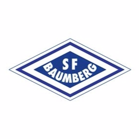 巴姆堡格  logo