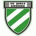 格鲁瑙  logo