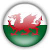 威尔士U16  logo