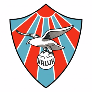 华路亚女足 logo