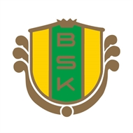 波斯坦纳斯女足 logo