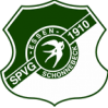 SV索尼克斯  logo