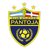 马德里竞技潘托哈 logo