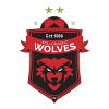 南部海岸狼队U20 logo