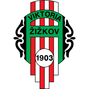 济斯科夫  logo