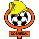 科布雷萨尔 logo