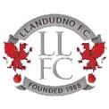 兰迪德诺 logo