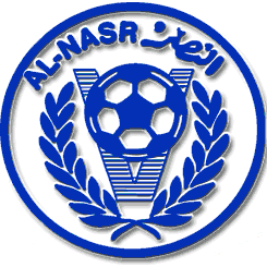 纳沙  logo