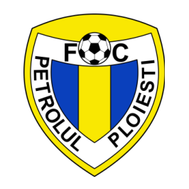 普洛耶什蒂 logo