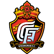 庆南FC logo