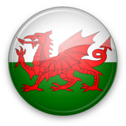 威尔士女足U17 logo