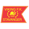 维京U19  logo