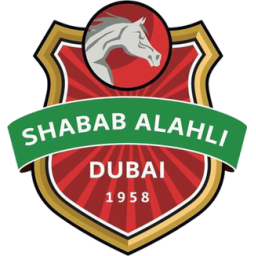 迪拜国民  logo