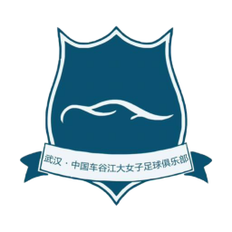 武汉车谷江大女足 logo