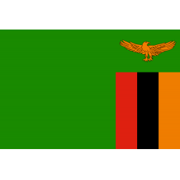 赞比亚女足 logo